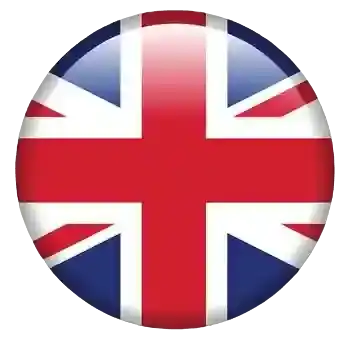 Change Language to English